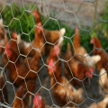 recinzione esagonale in rete metallica per gabbia di pollo per bestiame