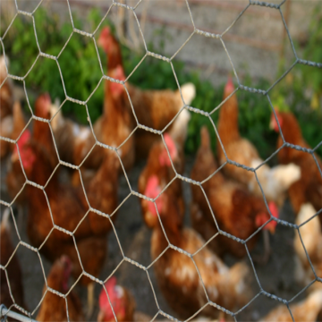 cerca hexagonal de la malla de alambre de la jaula del pollo para el ganado