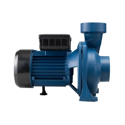 Bomba De Agua: 3 Inch Electric Water Pump for Irrigation