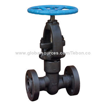 Forged Steel Globe Valve, API, Size DN15-50, Pressure PN16-PN420