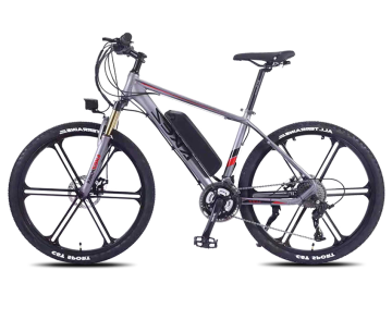 Magazzino UE: biciclette elettriche più veloci con pneumatici a grasso - prezzo e confronto da goccia