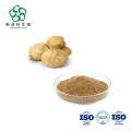 Hericium Erinaceus Extract Powder 10% -50% Polysaccharides