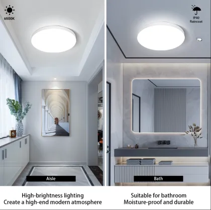 Smart Pir Sensor Lighting LED Ceiling Lamp - Motion Sensor Light