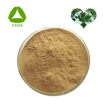 Honeysuckle Extract Powder 10: 1 Vật liệu chống dị ứng