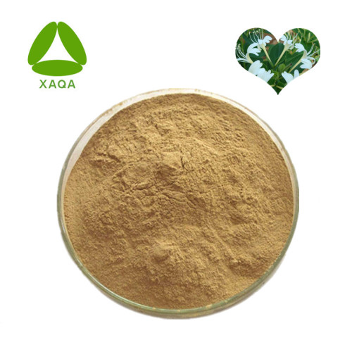 Honeysuckle Extract Powder 10: 1 Anti-allergiemateriaal