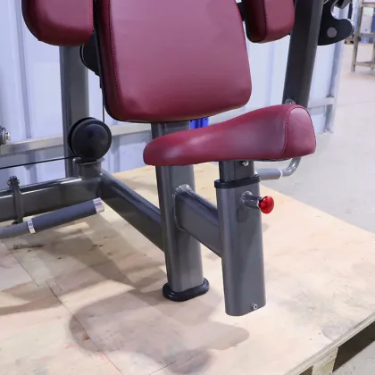 Gym Equipment Seated Arm Biceps Curl Machines Traininng