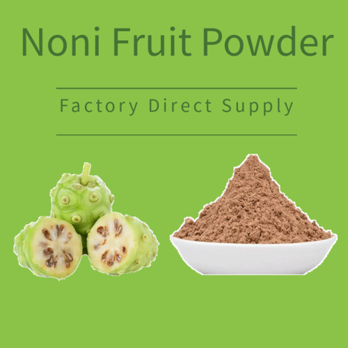 China Organic Raw Noni Fruit Juice Powder Manufactory