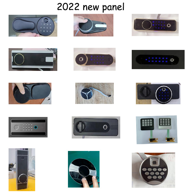 Electronic Biometric Fingerprint Lock