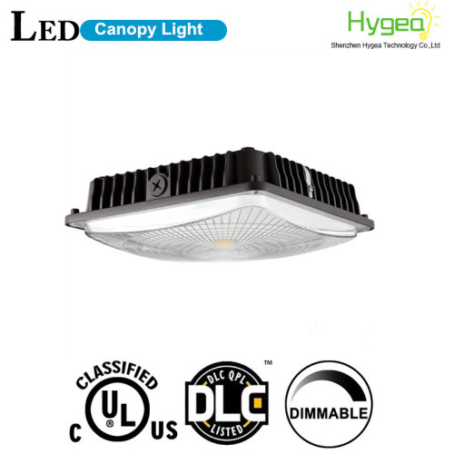 45 Watt LED Canopy Light for gas station