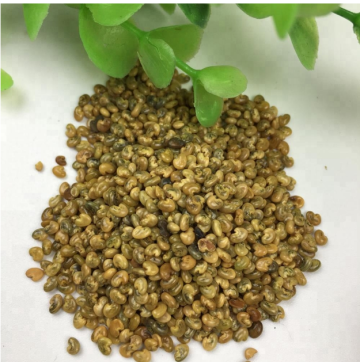 Touchhealthy supply Crotalaria mucronata seeds for planting