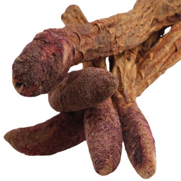 Male Enhancement Cynomorium Songaricum Extract
