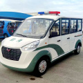Closed 8-seat petrol sightseeing car