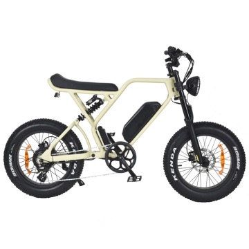 750W Fat Tire Long Range Full Suspension Retro Electric Bike