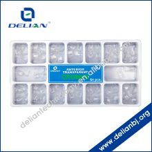 Delian Posterior Transparent Crowns Dental Products