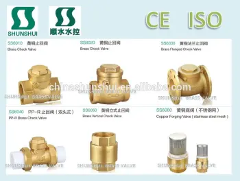 Forged PPR Pipe Brass Check Valve for water oil SS6040