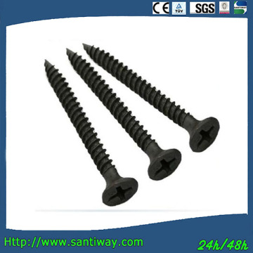 Phillips Head Drywall Screw/Wood Screw
