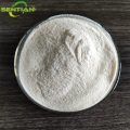 High-Quality Kluyveromyces Rennet