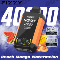 Fizzy Nova Plus 40000 Puffs 40K LCD Display Disposable Vape Eu Warehouse