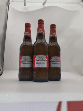 Budweiser 580ml minuman lancar lancar