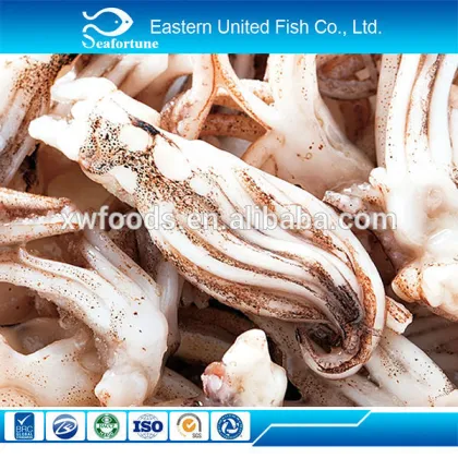 wild frozen frozen cooked giant squid tentacle