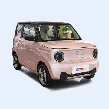 New Geely Gelly Panda Mini 2023: 200km Range 30kW Electric Car - Made in China