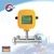 electronic remote-reading water meter