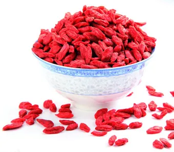 DRIED GOJI BERRY, CHINESE GOJI BERRY, ORGANIC GOJI BERRY