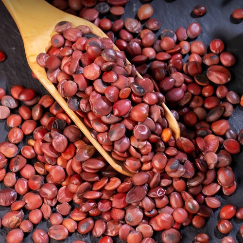 Spine Date Seed for Calming Herbal Use