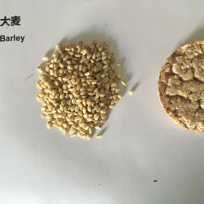 Coix Seed Quinoa Barley Corn Rice Cake Puffer Machine Extruder