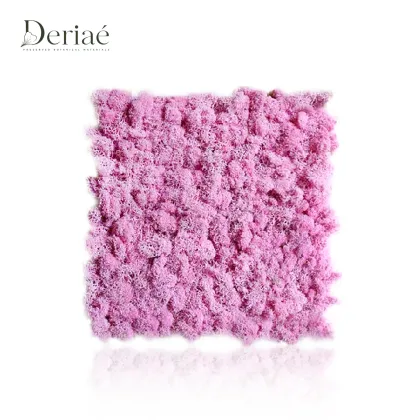 Natural Preserved Moss Slice