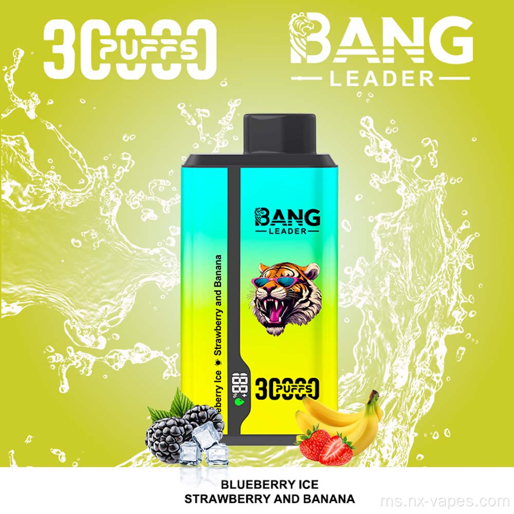 Bang Leader 30000 Dual Flavors Price Vape