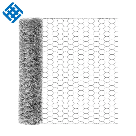 Hexagonal Galvanized Wire Mesh for Chicken Cages, Netting Fences, and Traps