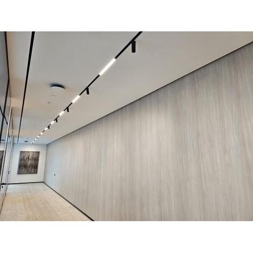 Économie d'énergie Track Linear Light avec télécommande