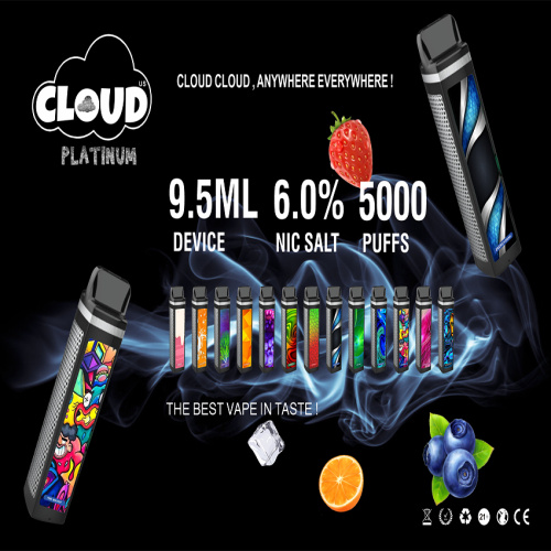 New Arrival 5000puffs 9.5ml Electronic Cigarette Vape E Cigarette