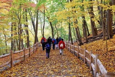 walking