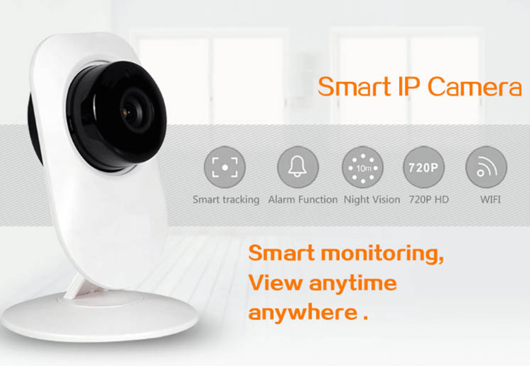 ip camera with audio
