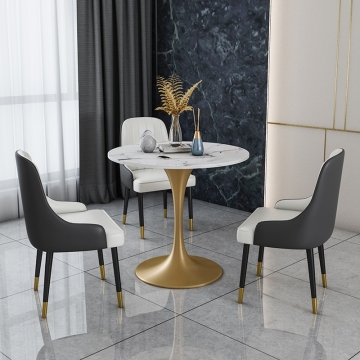 Nordic Metal Backrest Dining Chairs for Hotels - SP-EC205