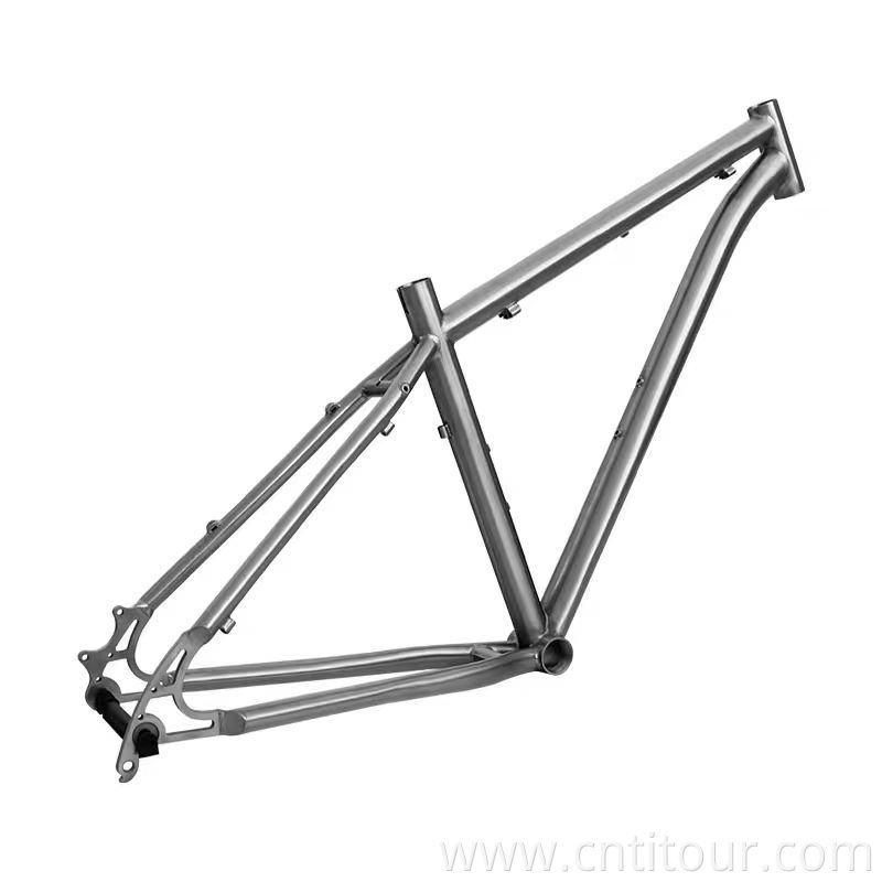 Lightweight Titanium MTB Frame