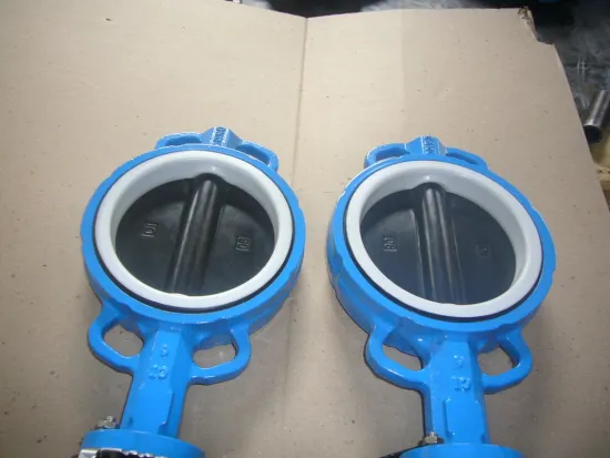 Coated Ptfe Disc Wafer Butterfly Valve Without Pin Api 609 / Iso 5752 / Bs 5155