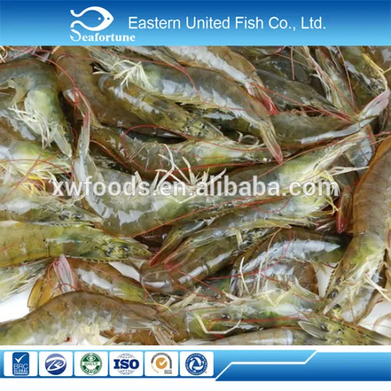 chinese sea IQF frozen vannamei price