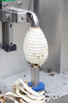 Automatic Fruit Peeler Machine for Melons, Breadfruit, and Pineapples