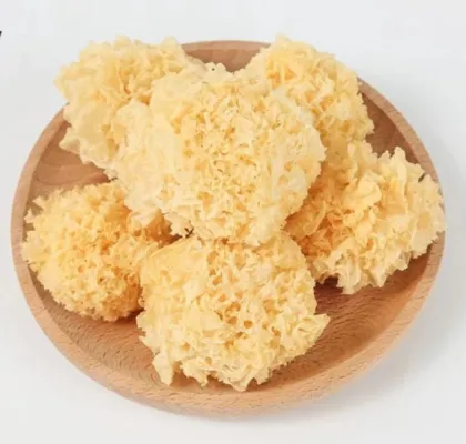 Organic Golden Tremella Fungus Wholesale Dried Mushrooms