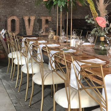 Wholesale Iron Chameleon Chairs for Events and Banquets