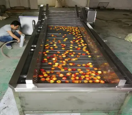 Ultrasonic Leafy Vegetable Washing Machine