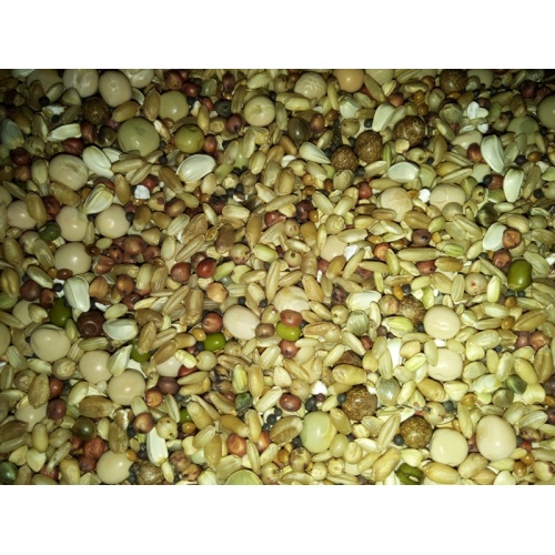 Mesin Grain and Bean Polishing