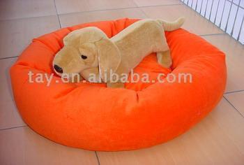 dog mat