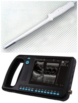 Ultrasound System (PRO-BCM300) with 7.5 MHz Endorectal Linear Probe