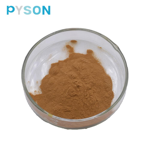 Siberian Ginseng Extract powder European standard