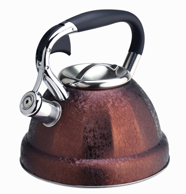 Durable stainless steel stovetop teakettle colorful