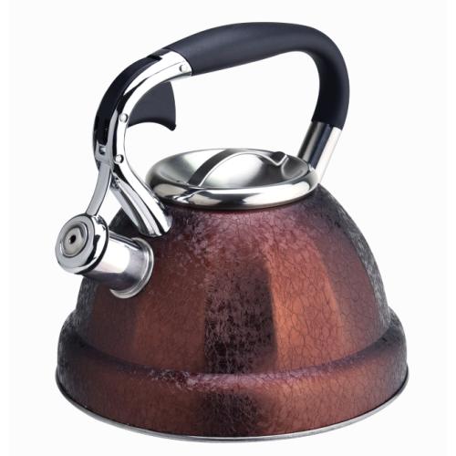 Durable stainless steel stovetop teakettle colorful